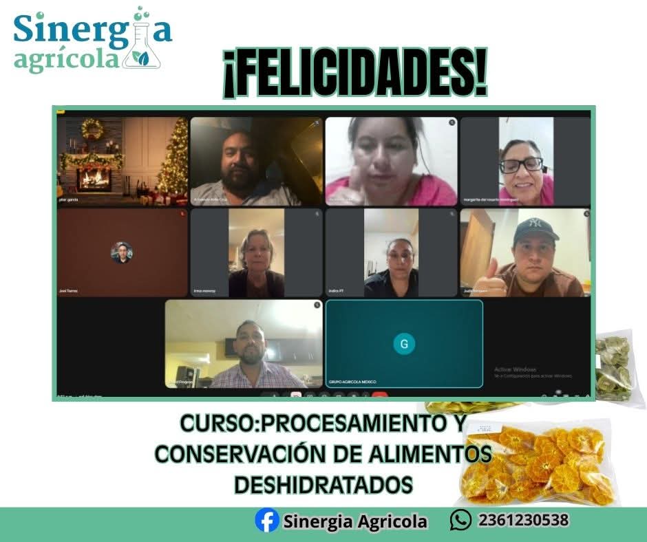 Curso en vivo