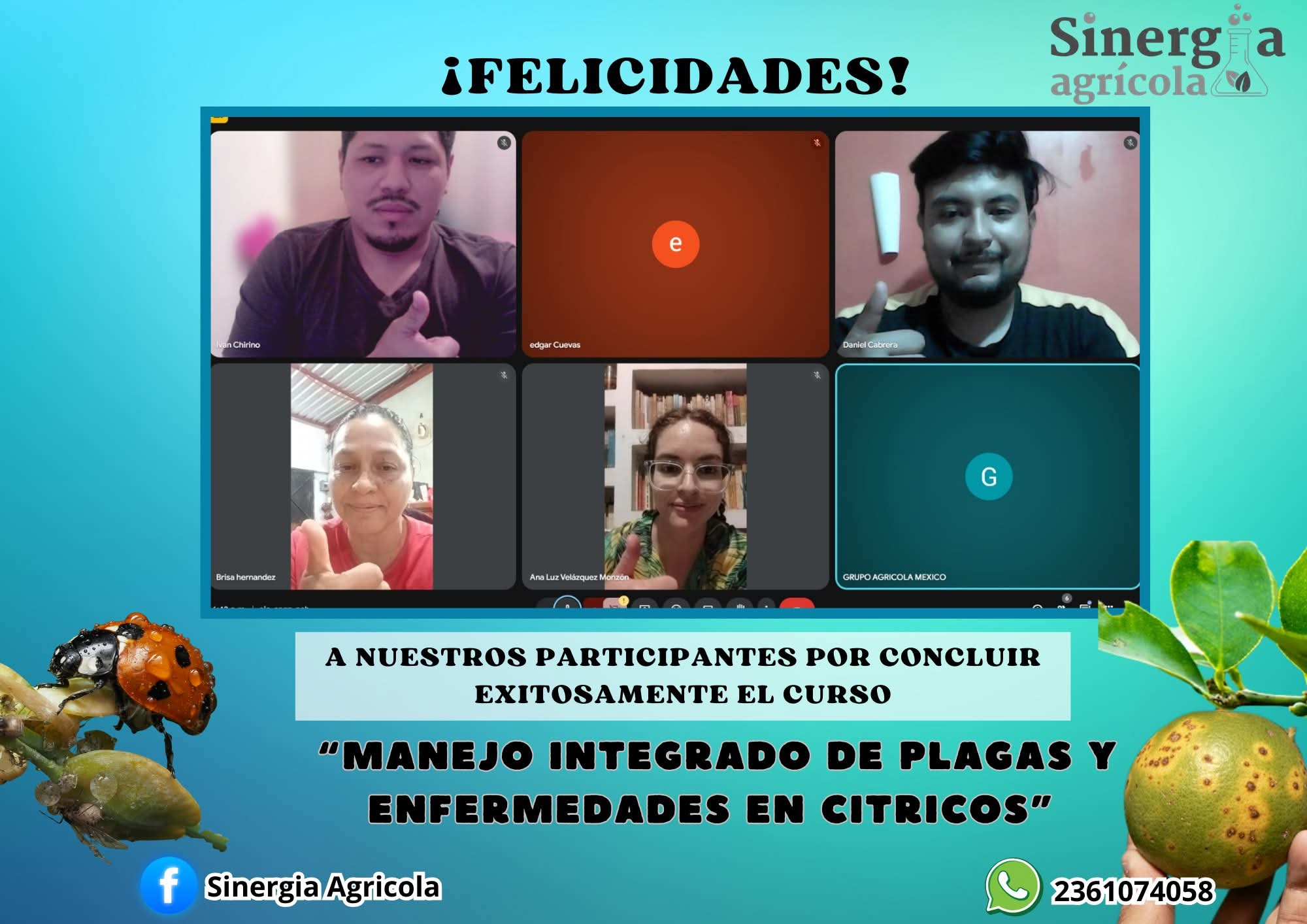 Curso en vivo