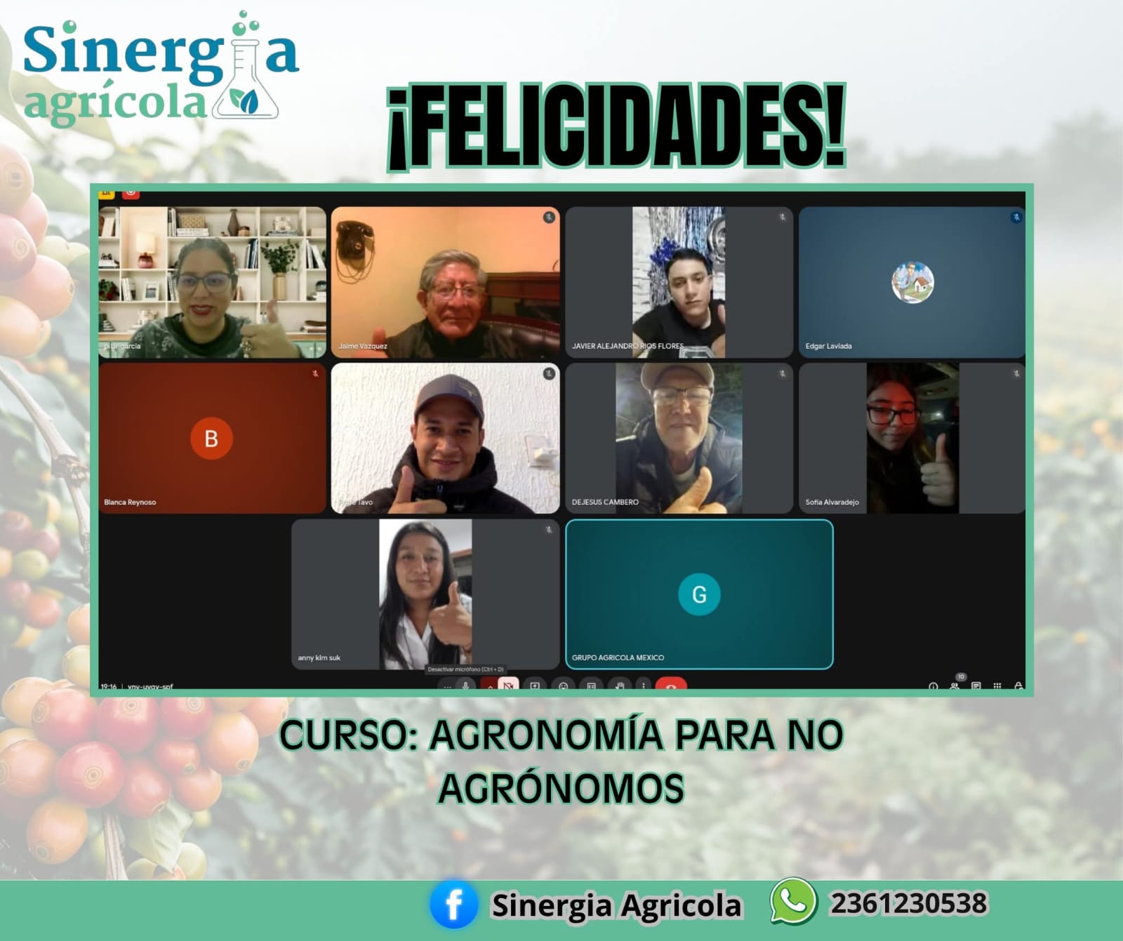 Curso en vivo
