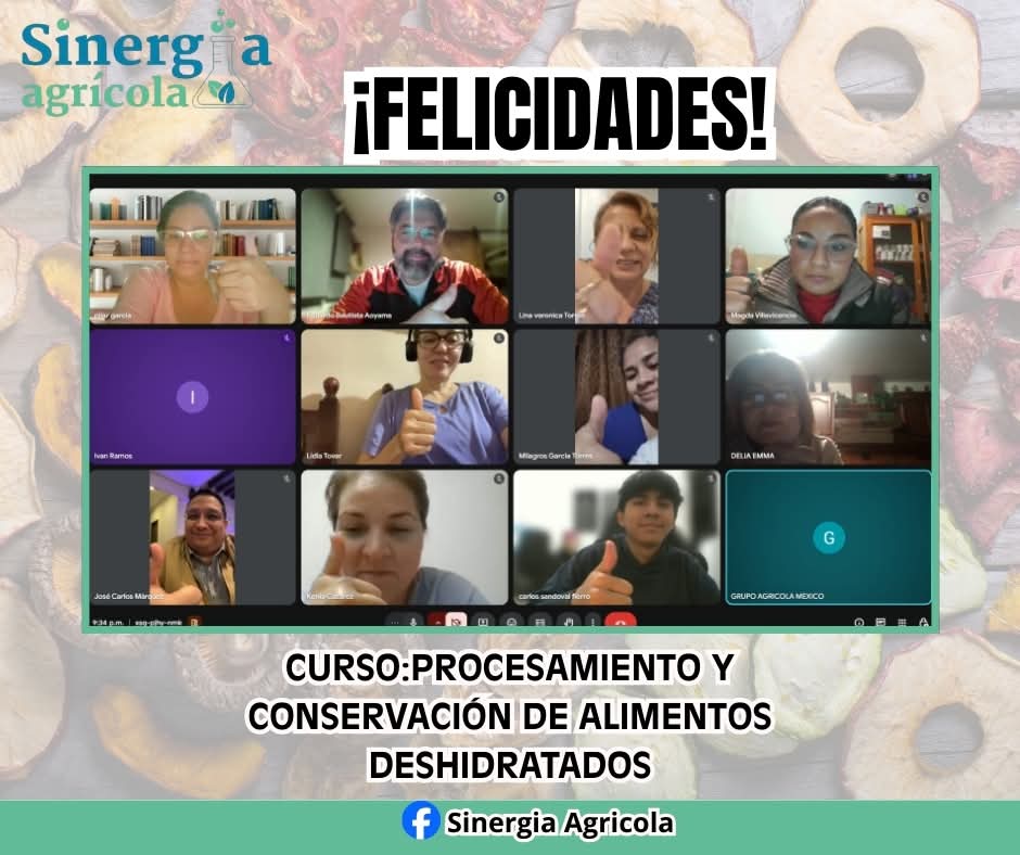 Curso en vivo