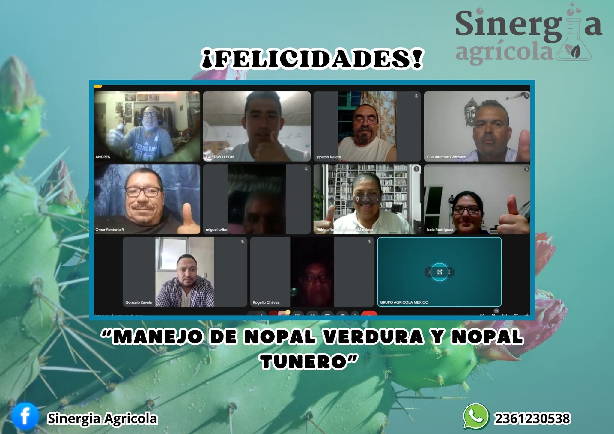 Curso en vivo